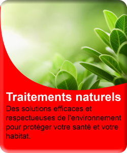 Traitements naturels et éco-responsables