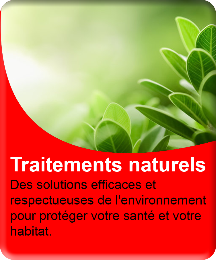 Traitements naturels et éco-responsables